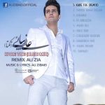 دانلود آهنگ علی زیبایی کار تو