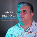 دانلود آهنگ علیرضا شمشکی شب دلتنگی