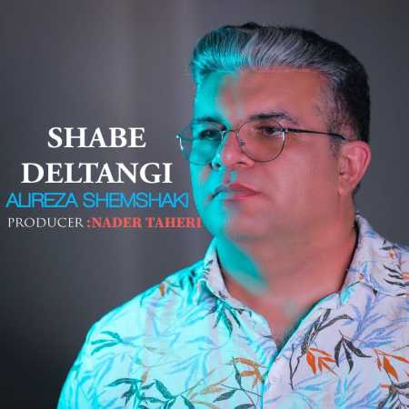 دانلود آهنگ علیرضا شمشکی شب دلتنگی