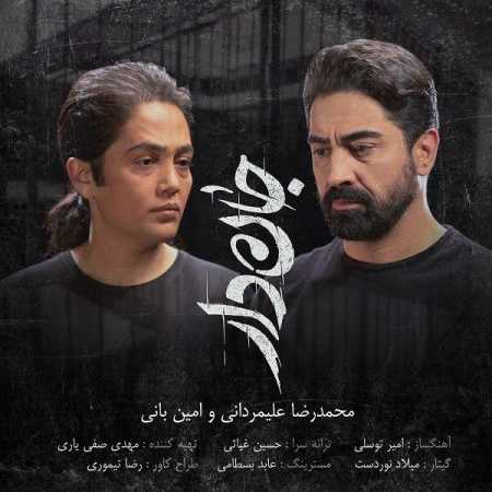 دانلود آهنگ امین بانی جان دار