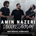 دانلود آهنگ امین ناظری دیوونه ترینم