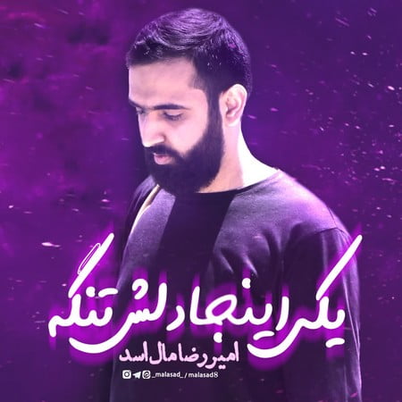 مداحی کربلایی امیررضا مال اسد یکی اینجا دلش تنگه