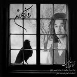 دانلود آهنگ آرش فرخزاد نباتی کلاغ