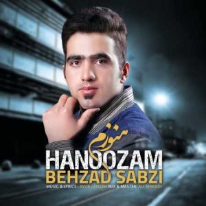 دانلود آهنگ بهزاد سبزی هنوزم
