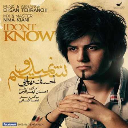 دانلود آهنگ احسان تهرانچی نمیدونستم