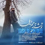 دانلود آهنگ هیوا شریفی توش به جیم دیلی
