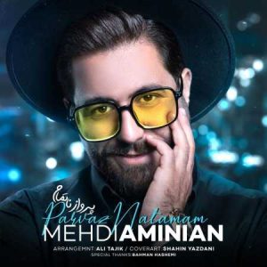 دانلود آهنگ مهدی امینیان پرواز ناتمام