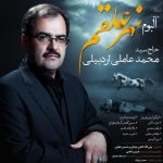 دانلود مداحی سید محمد عاملی شرف الناس