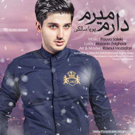 دانلود آهنگ پویا سالکی دارم‌ میرم