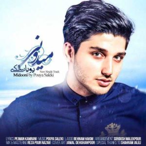 دانلود آهنگ پویا سالکی میدونی