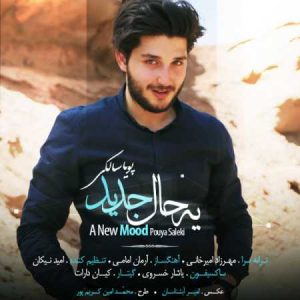 دانلود آهنگ پویا سالکی یه حال جدید