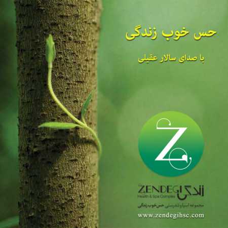 دانلود آهنگ سالار عقیلی حس خوب زندگی