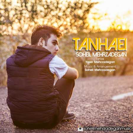 دانلود آهنگ سهیل مهرزادگان تنهایی