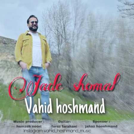 دانلود آهنگ وحید هوشمند جاده شمال
