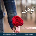 دانلود آهنگ امیر کاظمی راد تو دلی