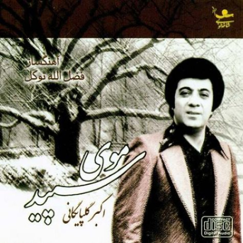 دانلود آهنگ عشق باید پادرمیونی کنه تا آدم احساس جوونی کنه گلپا