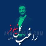دانلود آهنگ راغب گل نیلوفر (دلی)