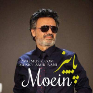 دانلود آهنگ منو زخمی رها کردی ببین با من چه کردی پاییز (هوش مصنوعی) معین