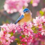 دانلود آهنگ  تا از در اومد بوی گل اومد