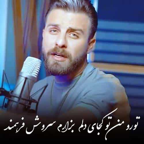 دانلود آهنگ تورو من تو کجای دلم بزارم سروش فرهمند