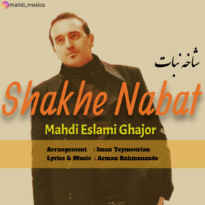 دانلود آهنگ مهدی اسلامی قجور شاخه نبات