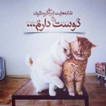 دانلود آهنگ نقطه ی امن من شونه هاته اتفاقا بهشتم چشاته (هوش مصنوعی)