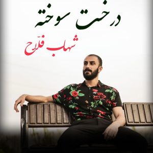 دانلود آهنگ شهاب فلاح درخت سوخته