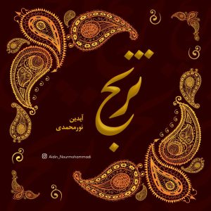 دانلود آهنگ آیدین نورمحمدی ترنج