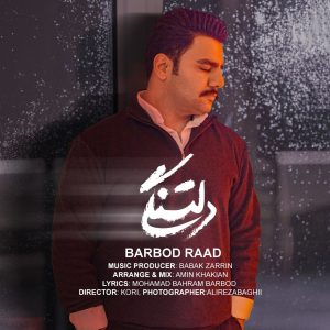 دانلود آهنگ باربد راد دلتنگی