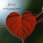 دانلود آهنگ دارم میام تو قلبت گل از گلم شکفته (هوش مصنوعی)