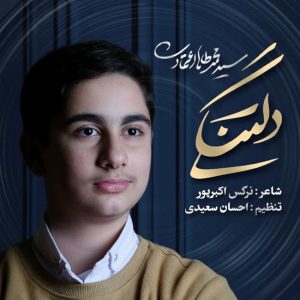 دانلود آهنگ محمدطاها اعتمادی دلتنگی