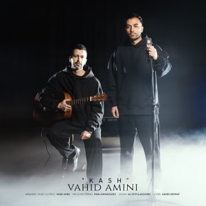 دانلود آهنگ وحید امینی کاش