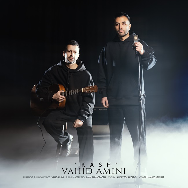 دانلود آهنگ وحید امینی کاش