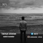 دانلود آهنگ وحید نامدار تنها شدن