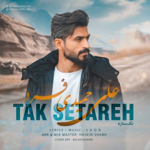 دانلود آهنگ علی حمیدی فرد تک ستاره