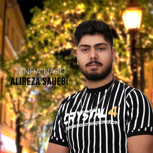 دانلود آهنگ علیرضا صاحبی تنها نرو