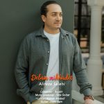 دانلود آهنگ علیرضا صالحی دلم میخوادت