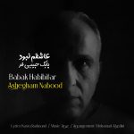 دانلود آهنگ بابک حبیبی فر عاشقم نبود