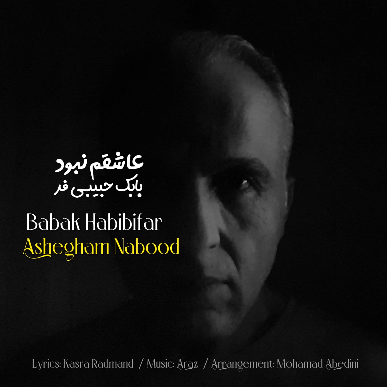 دانلود آهنگ بابک حبیبی فر عاشقم نبود
