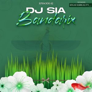 دانلود آهنگ دیجی سیا بندریکس ۰۲