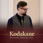 دانلود آهنگ میثم شکری ساز کودکانه