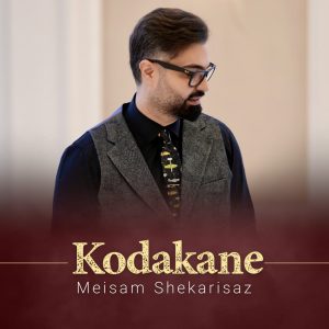 دانلود آهنگ میثم شکری ساز کودکانه