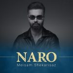 دانلود آهنگ میثم شکری ساز نرو