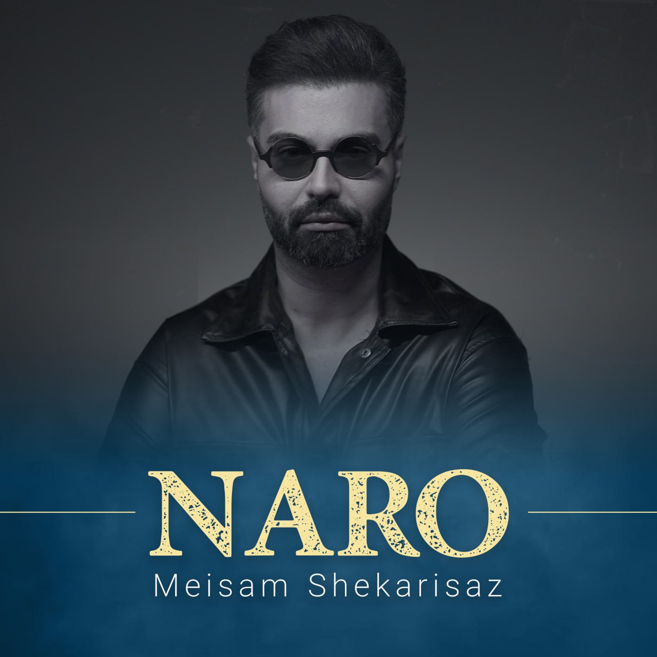 دانلود آهنگ میثم شکری ساز نرو