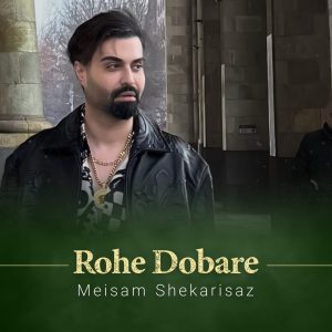 دانلود آهنگ میثم شکری ساز روح دوبارهی