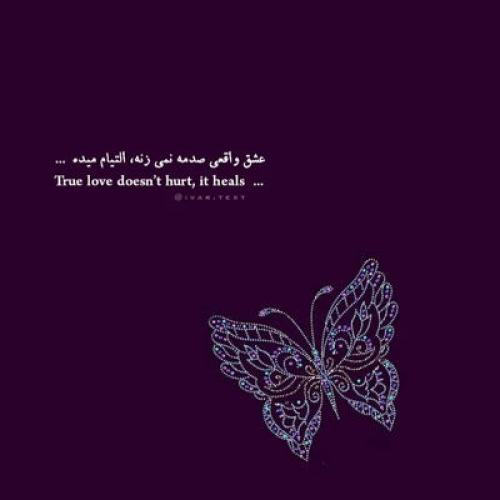 دانلود آهنگ صدات از گوش من بیرون نمیره سیاوش قمیشی