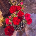 دانلود آهنگ دختر بندری تو مال منی