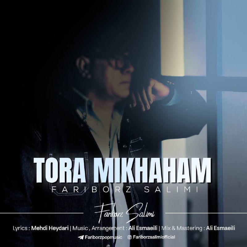 دانلود آهنگ فريبرز سليمى تورا ميخواهم