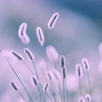 دانلود آهنگ سوری سوری از من نکن تو دوری