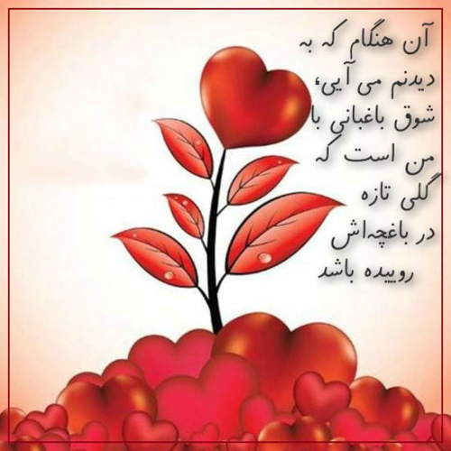 دانلود آهنگ ﭼﻪ ﺑﻰ ﺧﺒﺮ رﺳﻴﺪی ﻧﺸﻮﻧﻪ ﻛﺮدی ﻗﻠﺒﻮ (هوش مصنوعی)